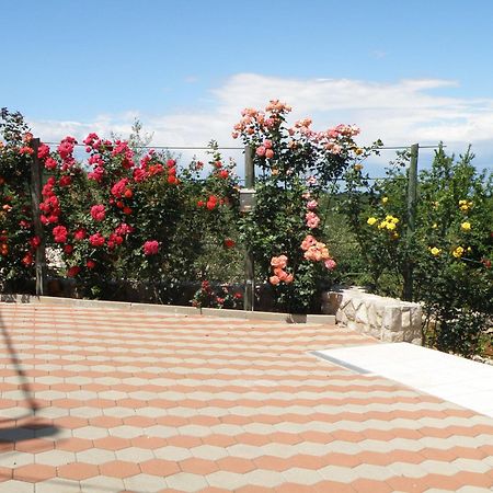 Villa Roze Cizici Exterior photo