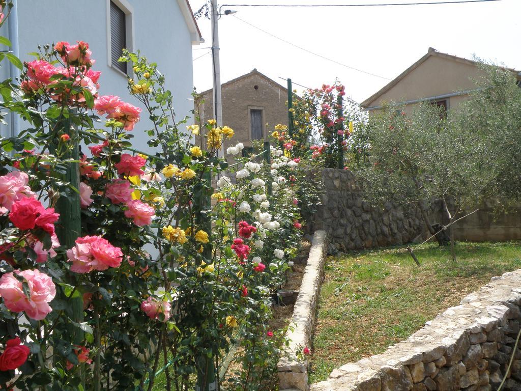 Villa Roze Cizici Exterior photo