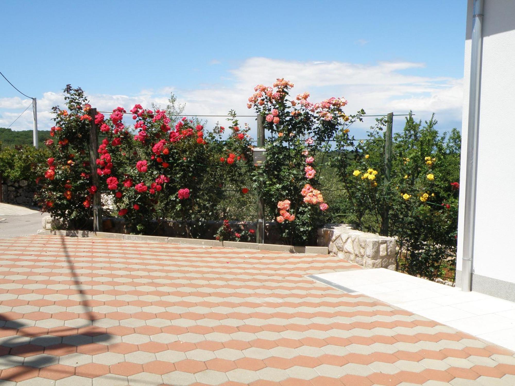 Villa Roze Cizici Exterior photo