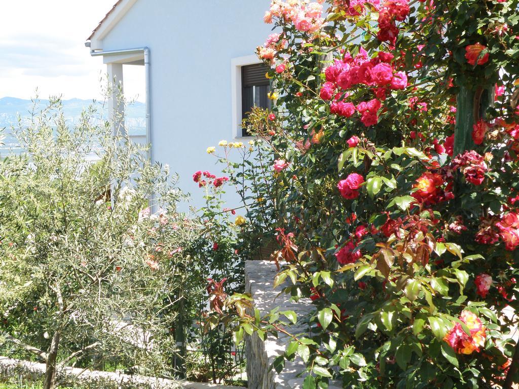 Villa Roze Cizici Exterior photo