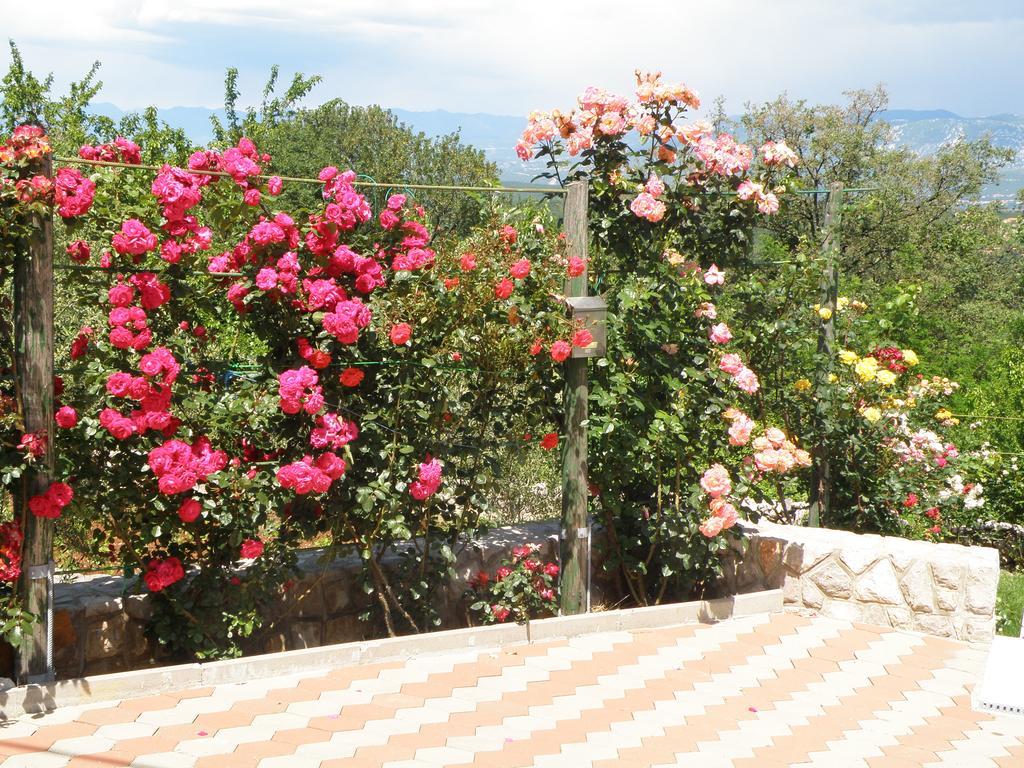 Villa Roze Cizici Exterior photo