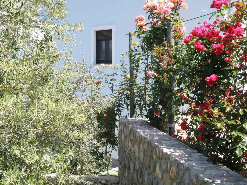 Villa Roze Cizici Exterior photo