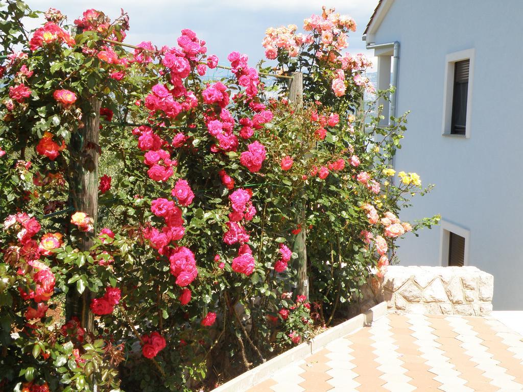 Villa Roze Cizici Exterior photo