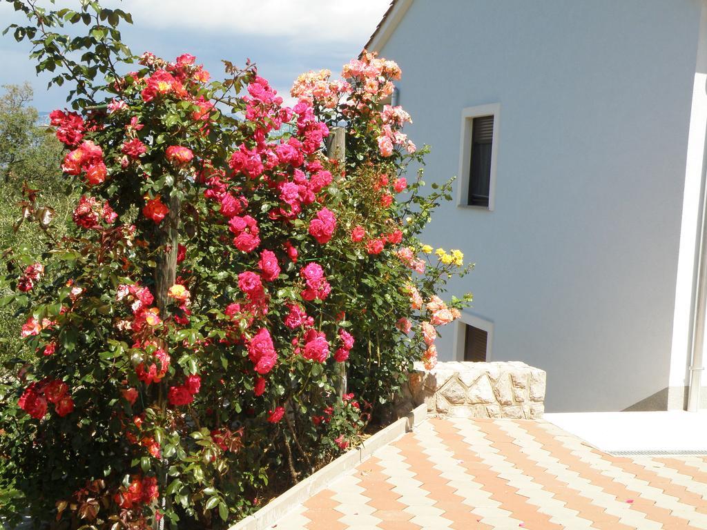 Villa Roze Cizici Exterior photo